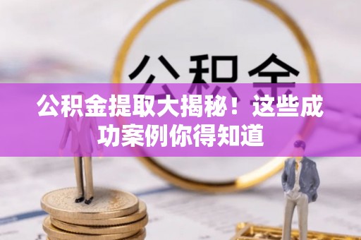 武陵源公积金提取大揭秘！这些成功案例你得知道